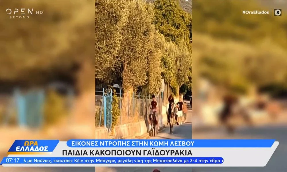 Εικόνες ντροπής στην Κώμη Λέσβου: Παιδάκια κακοποιούν γαϊδουράκια (Βίντεο)